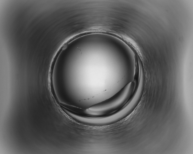 X0000096191288200801181313
