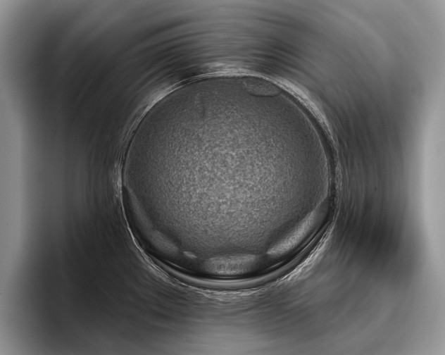 X0000096191289200801181313