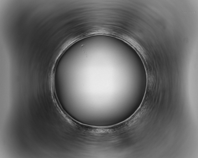 X0000096191290200801181313