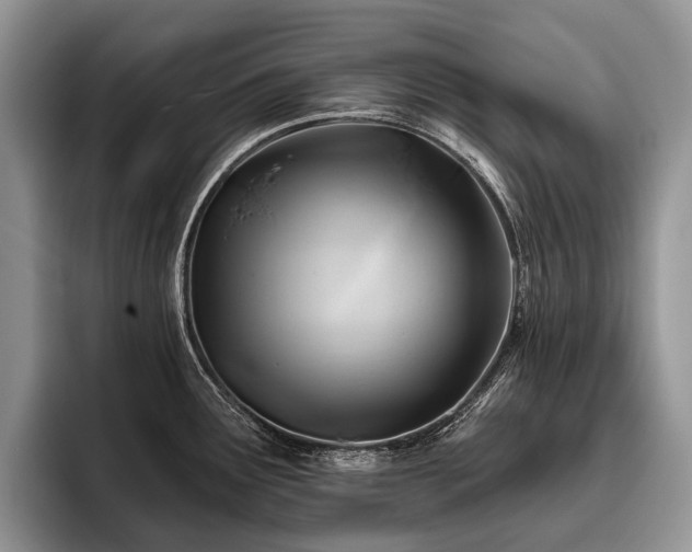X0000096191291200801181313