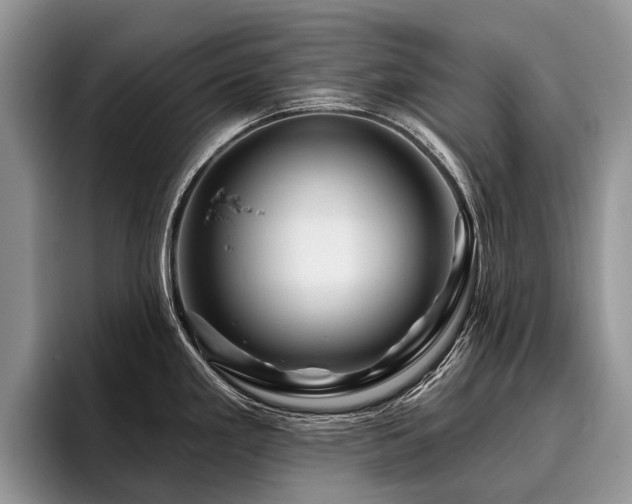 X0000096191293200801181313