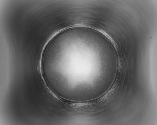 X0000096191294200801181313