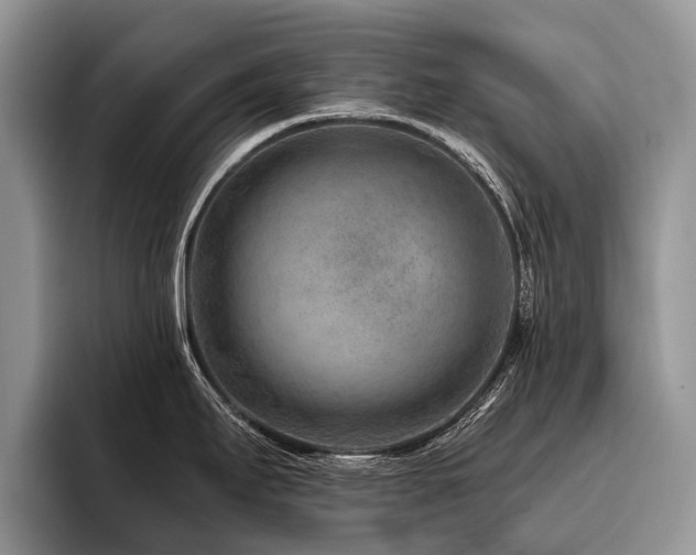 X0000096191295200801181313