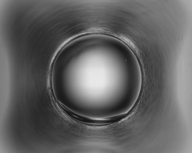 X0000096191296200801181313