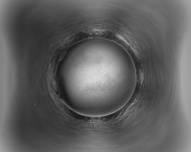 X0000096191297200801181312