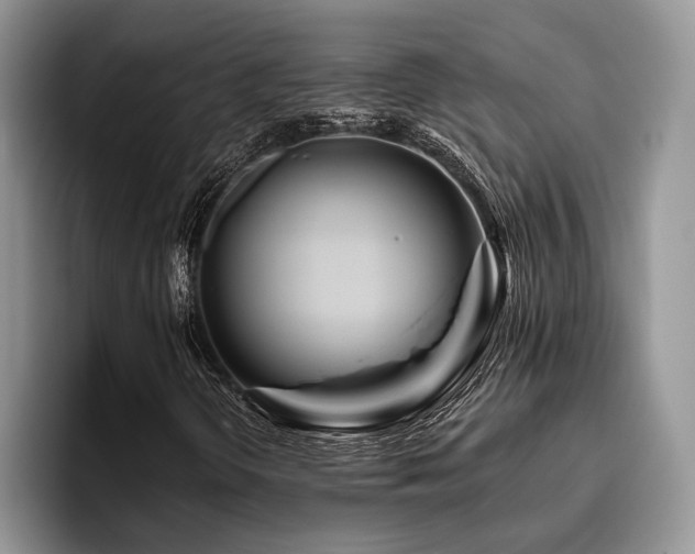 X0000096191298200801181312