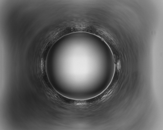X0000096191299200801181312