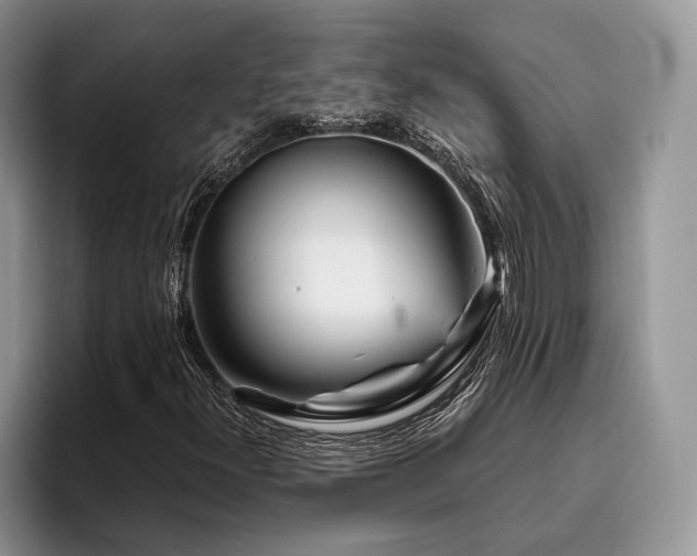 X0000096191300200801181312