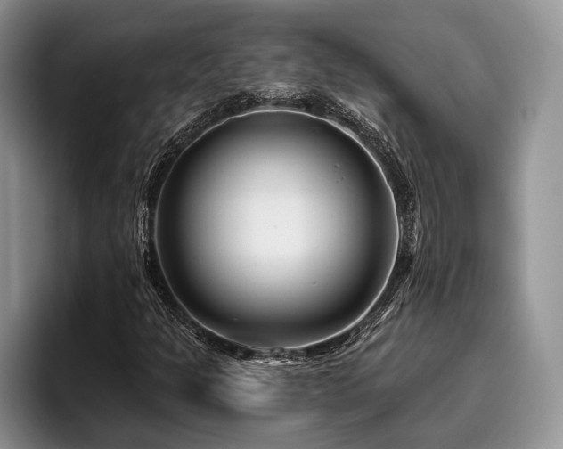X0000096191301200801181313