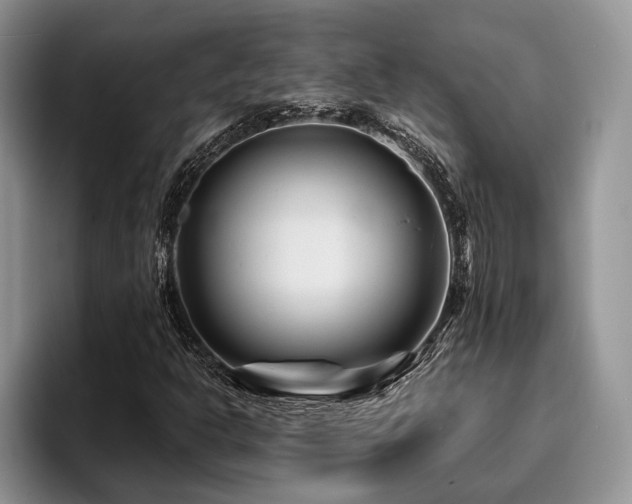 X0000096191302200801181313