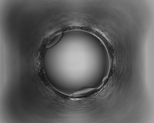 X0000096191303200801181313