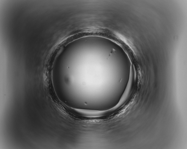 X0000096191304200801181313
