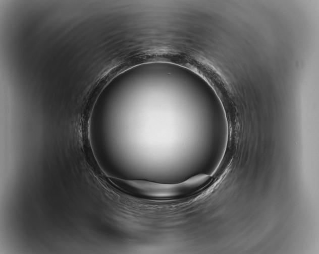 X0000096191305200801181313