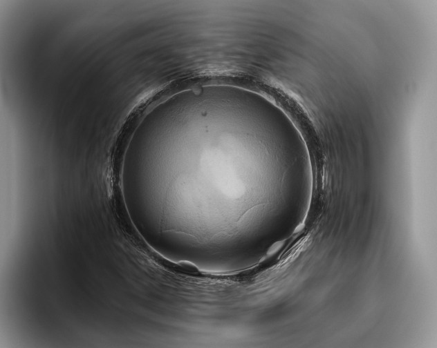 X0000096191306200801181313