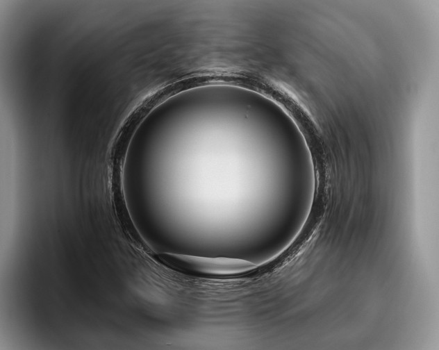 X0000096191307200801181313