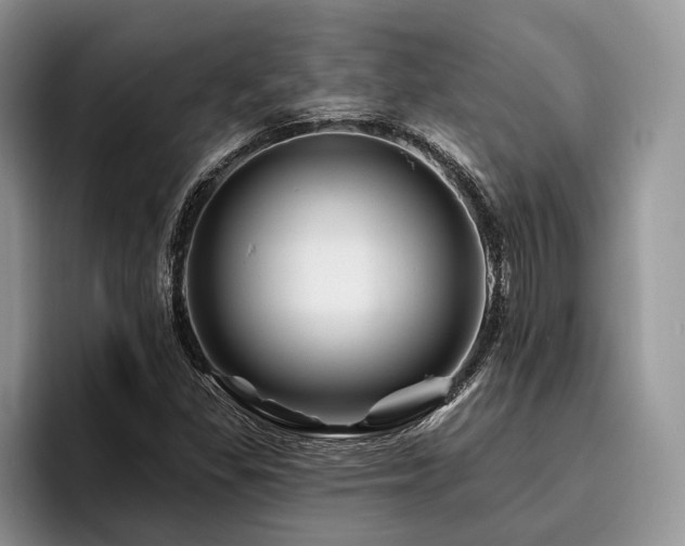 X0000096191309200801181313