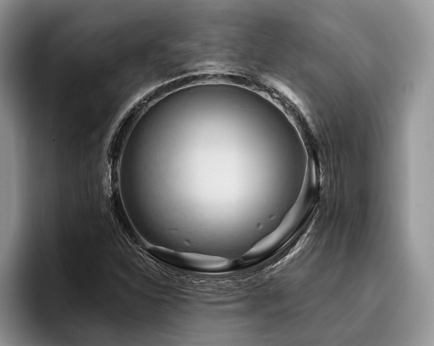X0000096191310200801181313