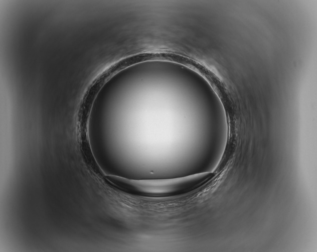 X0000096191311200801181313