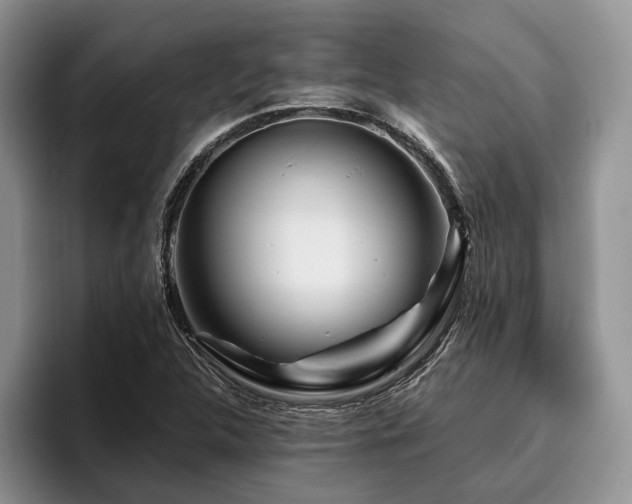 X0000096191312200801181313