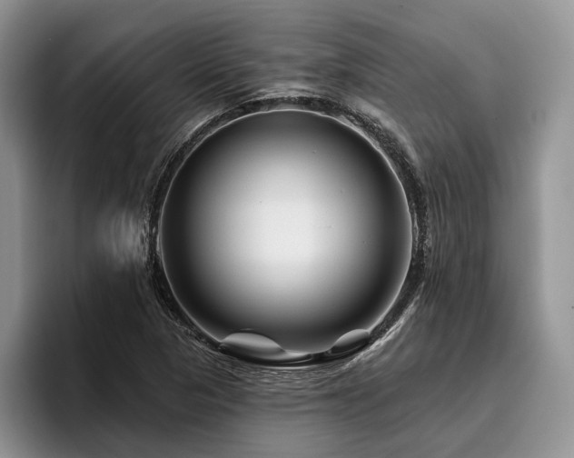 X0000096191313200801181313
