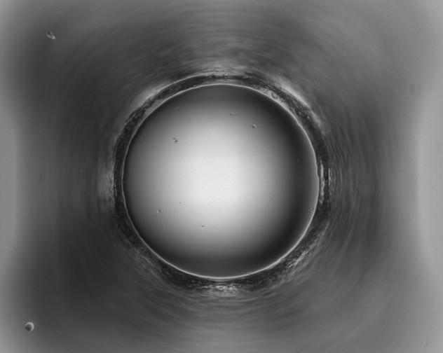 X0000096191315200801181313