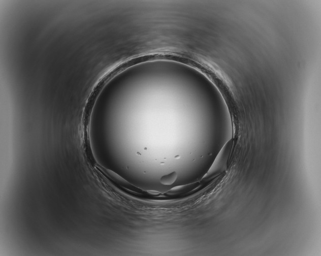 X0000096191316200801181313