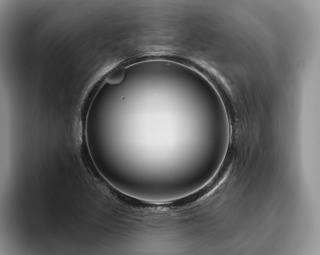 X0000096191317200801181313