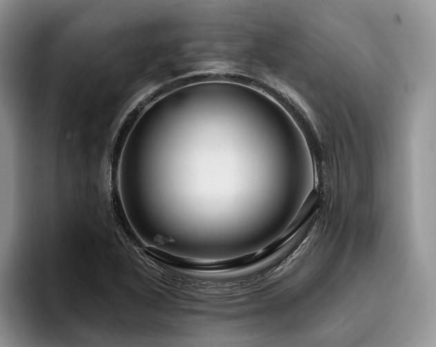 X0000096191318200801181313
