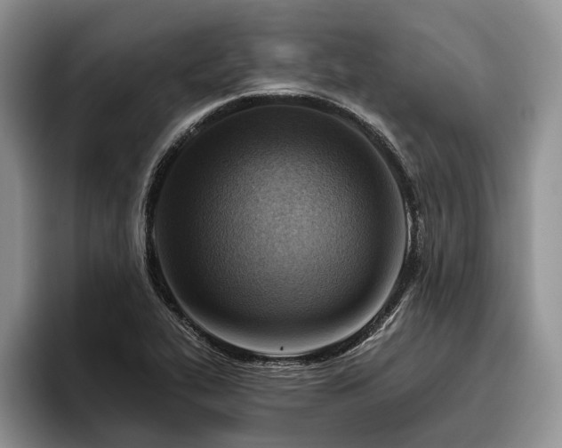 X0000096191319200801181313