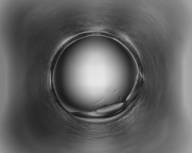 X0000096191320200801181313