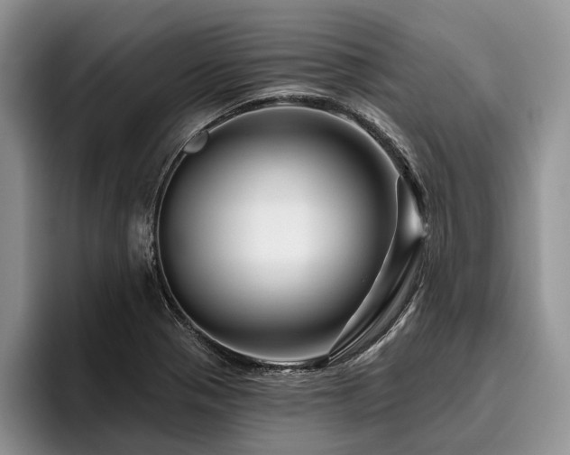 X0000096191321200801181313