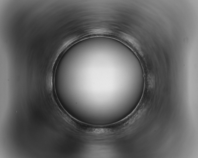 X0000096191322200801181313