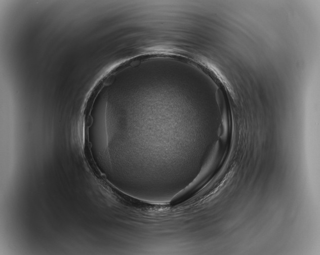 X0000096191323200801181313