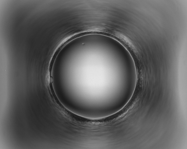 X0000096191324200801181313