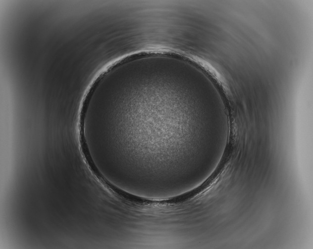 X0000096191327200801181313