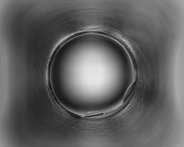 X0000096191328200801181313