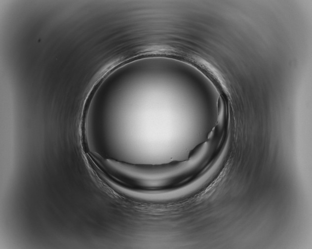 X0000096191330200801181313