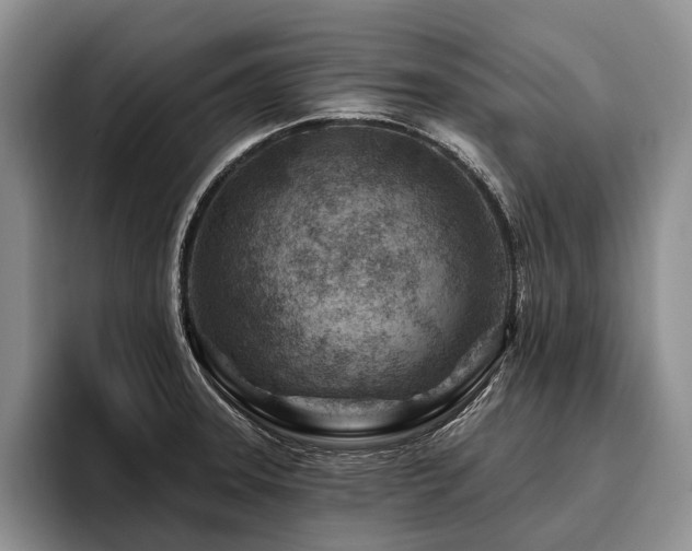 X0000096191331200801181313