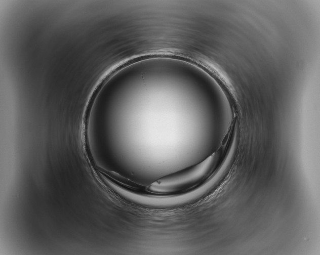 X0000096191332200801181313