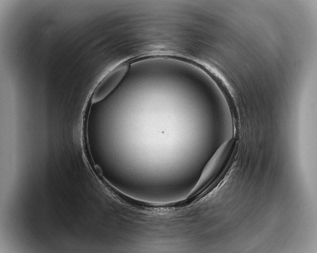 X0000096191333200801181313