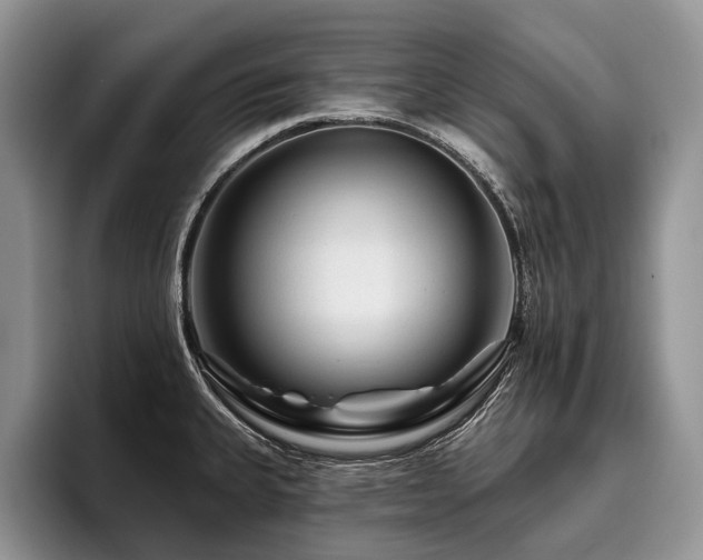 X0000096191335200801181313