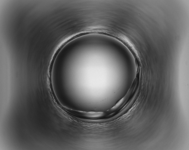 X0000096191336200801181313