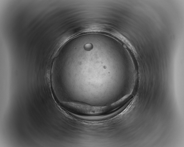 X0000096191337200801181313