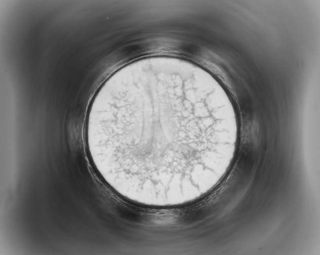 X0000096191338200801181313