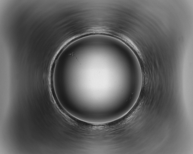 X0000096191339200801181313