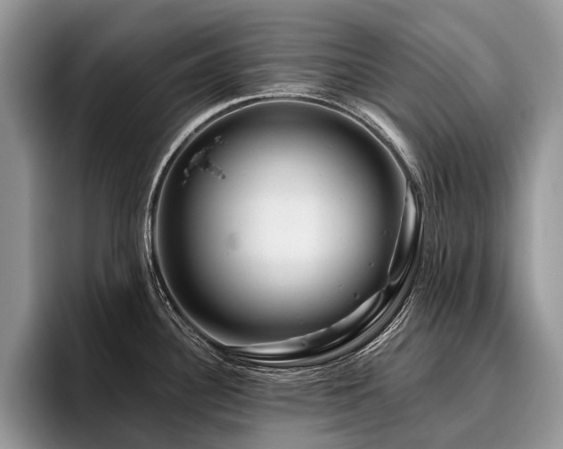 X0000096191340200801181313