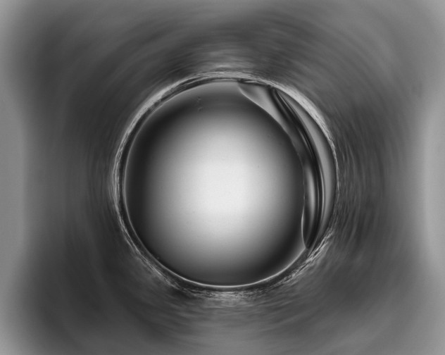 X0000096191341200801181313