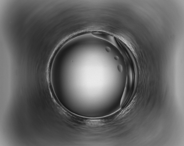 X0000096191342200801181313