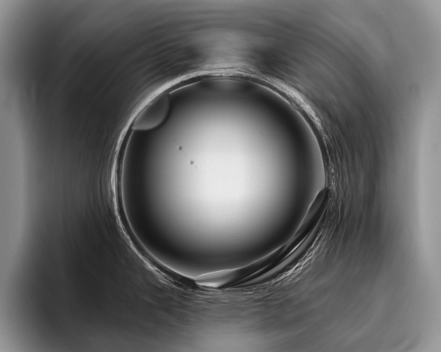 X0000096191343200801181313
