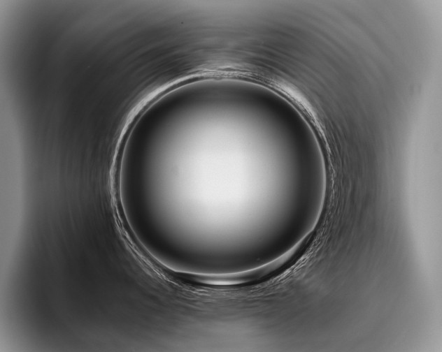 X0000096191344200801181313